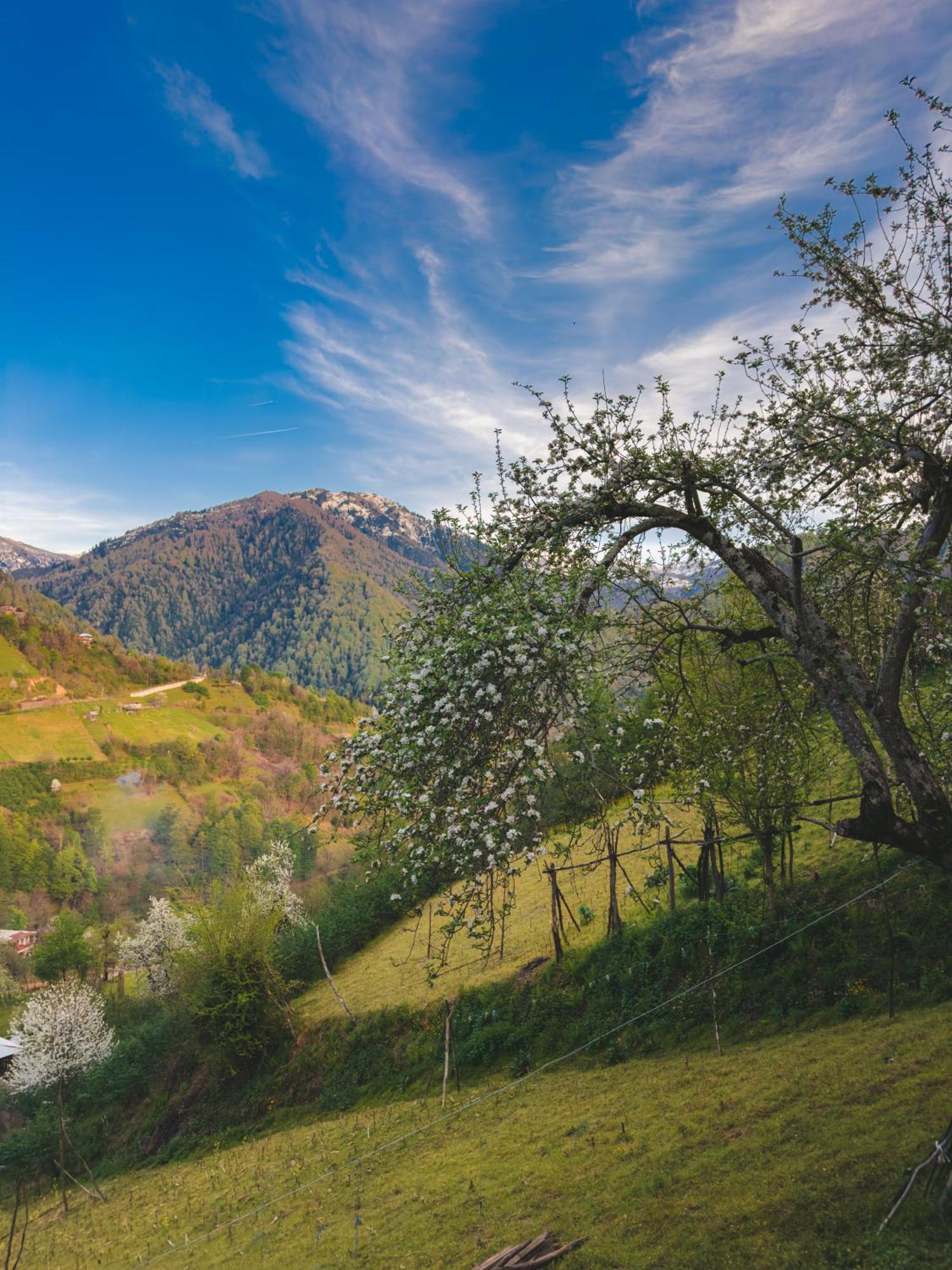 Eco Cottage Sunrise Merisi Zewnętrze zdjęcie